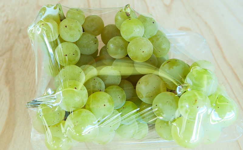 種ありナイアガラ 約2kg 2026年9月中旬～10月下旬頃出荷予定【安心安全 こだわりの栽培方法 除草剤不使用 栽培期間中 ネオニコチノイド系農薬不使用 化学合成肥料不使用】 