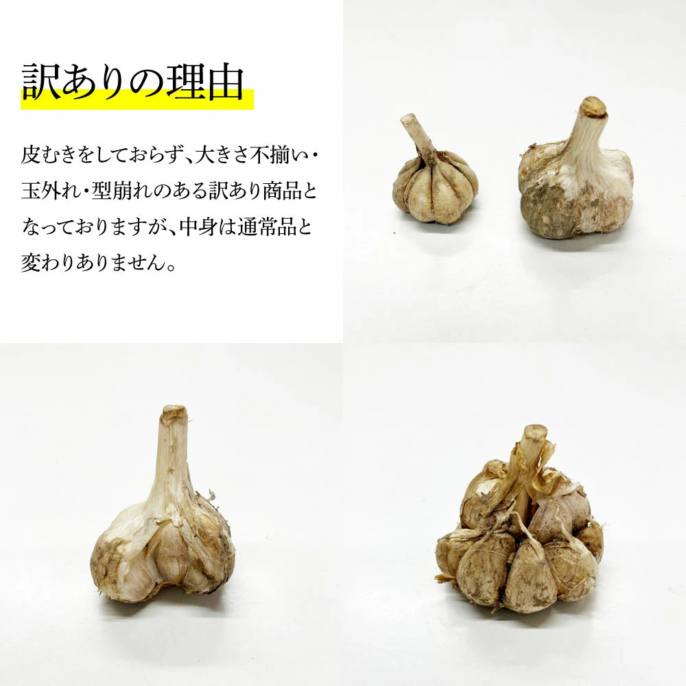 訳あり にんにく 約3kg 乾燥 ニンニク にんにく 訳アリ わけアリ 不揃い 型崩れ 自然乾燥 大量 大容量 常温 配送 数量限定 高知県産