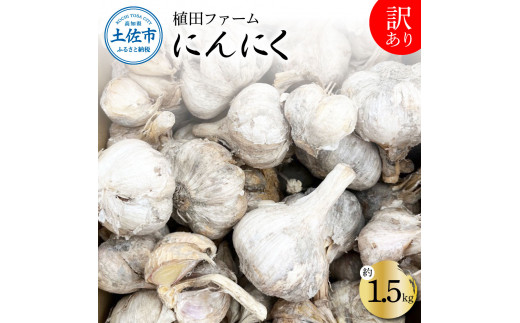 ymysz󂠂 ɂɂ 1.5kg  jjN ɂɂ A 킯A s ^ R  e 퉷 z ʌ mY