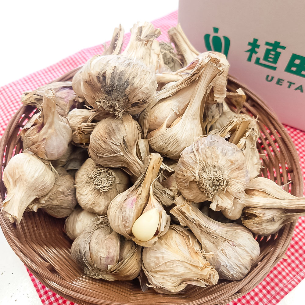 訳あり にんにく 約1.5kg 乾燥 ニンニク にんにく 訳アリ わけアリ 不揃い 型崩れ 自然乾燥 大量 大容量 常温 配送 数量限定 高知県産