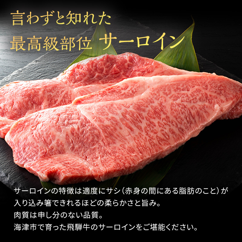 岐阜県海津市産 飛騨牛サーロインステーキ(250g×2枚) 牛肉 500g 