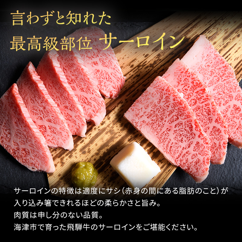 飛騨牛 サーロイン 岐阜県海津市産 焼肉 500g 牛肉 焼き肉 お肉 冷凍 バーベキュー BBQ 