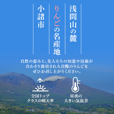 長野県小諸市のふるさと納税 サンふじ りんご 家庭用 約10kg  長野県産 果物類 林檎 りんご リンゴ フルーツ 小諸市