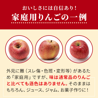 長野県小諸市のふるさと納税 サンふじ りんご 家庭用 約10kg  長野県産 果物類 林檎 りんご リンゴ フルーツ 小諸市