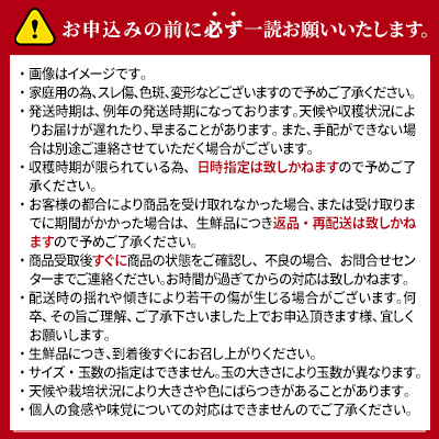 長野県小諸市のふるさと納税 サンふじ りんご 家庭用 約10kg  長野県産 果物類 林檎 りんご リンゴ フルーツ 小諸市