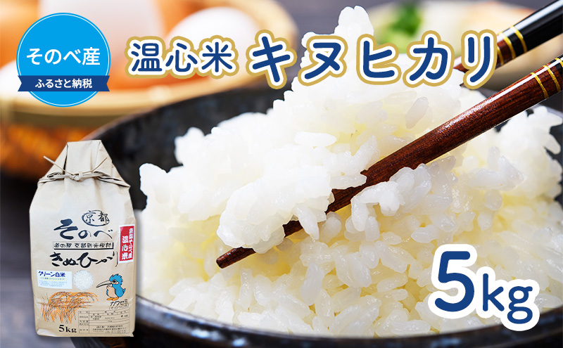 ys{Osz LkqJ 5kg ×1 ̂׎Y S 2025NxY  Pꌴ ʂЂ Og    R s