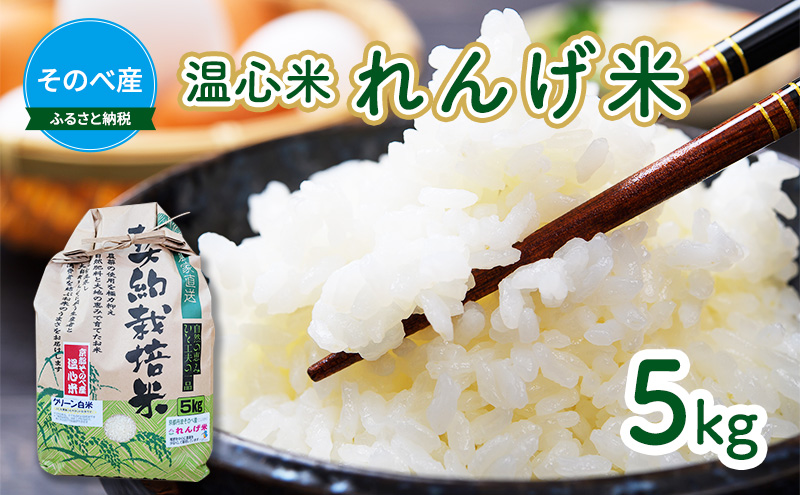 米 コシヒカリ れんげ米 5kg ×1袋 そのべ産 温心米 2024年度産 お米 単一原料米 こしひかり 丹波 精米 白米 こめ コメ 京都 