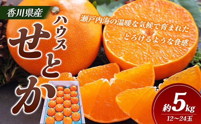 小豆島 】島育ち！土庄産すもも（レッドスター）約1.4kg 果物