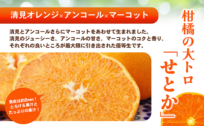 小豆島 】 ハウスせとか 約5kg 柑橘 せとか 瀬戸香 ハウス 果物