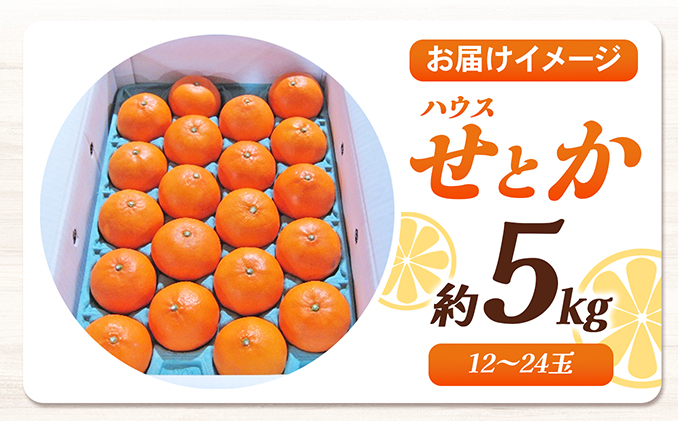 【 小豆島 】 ハウスせとか 約５kg 柑橘 せとか 瀬戸香 ハウス 果物 フルーツ くだもの 瀬戸内 くだもの 国産 香川 香川県 土庄 土庄町 