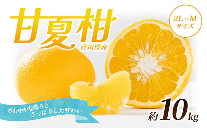 【 小豆島 】 甘夏柑 約10kg 柑橘 あまなつかん 果物 フルーツ 爽やか さっぱり くだもの 国産 香川 香川県 土庄 土庄町 