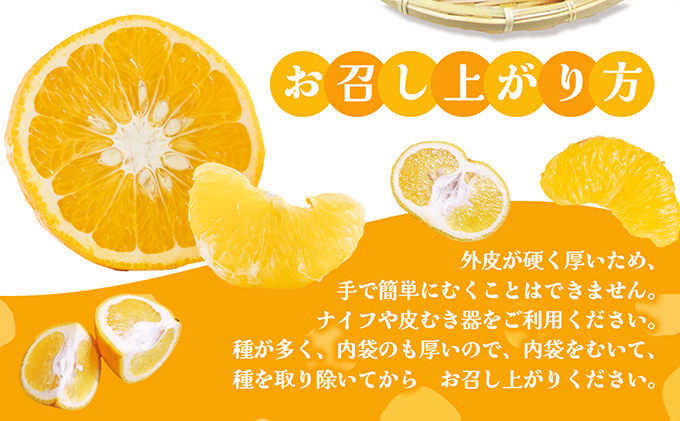 【 小豆島 】 甘夏柑 約10kg 柑橘 あまなつかん 果物 フルーツ 爽やか さっぱり くだもの 国産 香川 香川県 土庄 土庄町 