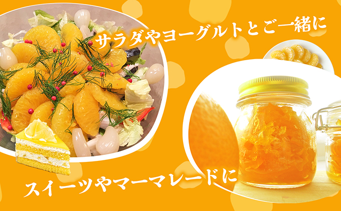 【 小豆島 】 甘夏柑 約10kg 柑橘 あまなつかん 果物 フルーツ 爽やか さっぱり くだもの 国産 香川 香川県 土庄 土庄町 