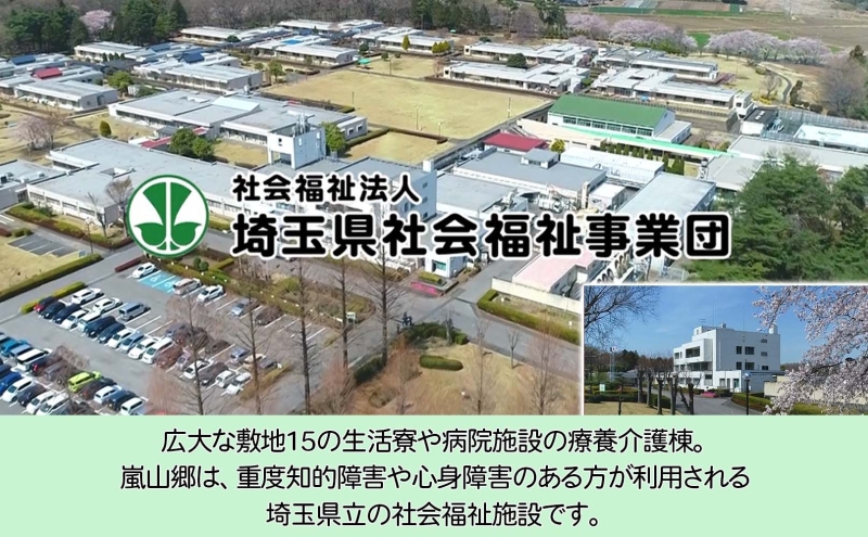 嵐山郷 さをり織り 反物 寒色系 約300cm×約20cm 手織り生地 雑貨 ハンドメイド 手作り 個性 ストール テーブルセンター ランチョンマット バッグ ポーチ 小物雑貨 不揃い 送料無料 福祉 綿 化繊 麻 ウール 埼玉 嵐山町