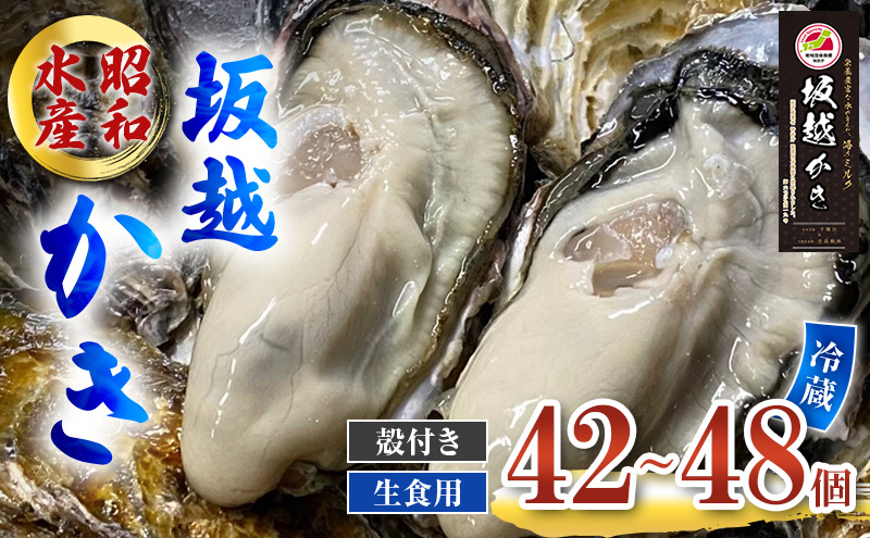 【休業日はプロフ参照】牡蠣 殻付き 牡蛎 牡蠣 殻付「生食用 剥き身1ｋｇ 殻付き 牡蠣 ３ｋｇ」で合わせて４ｋｇ むき身 松島牡蠣屋 kaki （剥き身は500ｇが２本です） 20％OFF中】生食用殻付き牡蠣 3kg（約27個）牡蠣殻付き 殻