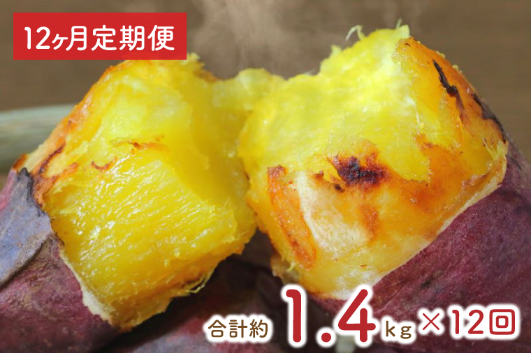 茨城県行方市のふるさと納税 【12ヶ月定期便】★少し大きめサイズ★熟成紅はるか冷凍焼き芋約1.2kg＋おまかせ品種さつまいも 合計約1.4kg!（EY-22）