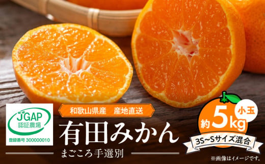 【和歌山県有田郡湯浅町】ZE6044n_和歌山県産 有田みかん 5kg 小玉(3S〜Sサイズ混合)【まごころ手選別】