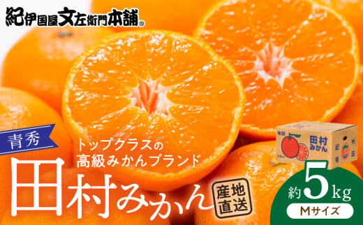 V7448_田村みかん／5kg青秀【Mサイズ】