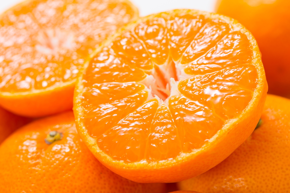 V7454_田村みかん／特選ギフト品3kg【サイズ指定なし】