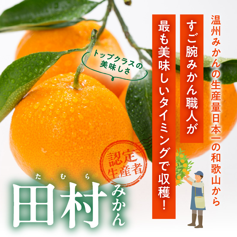 V7454_【2026年先行予約】田村みかん／特選ギフト品3kg【サイズ指定なし】