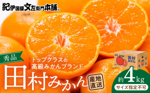 ya̎RLcS󒬁zV7453_c݂^4kgGi yTCYwȂz