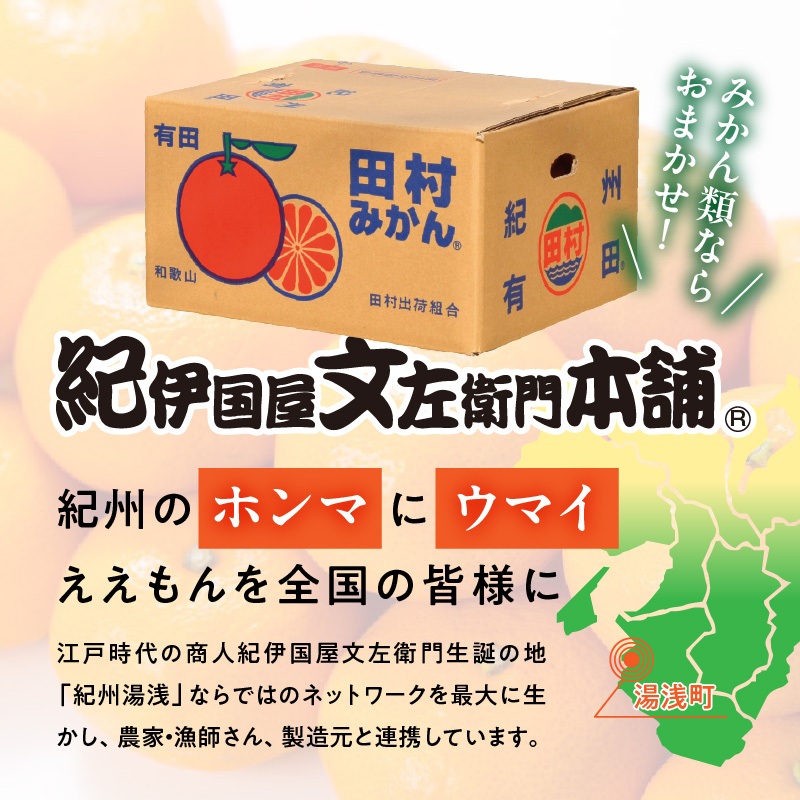 V7453_【2026年先行予約】田村みかん／4kg秀品 【サイズ指定なし】