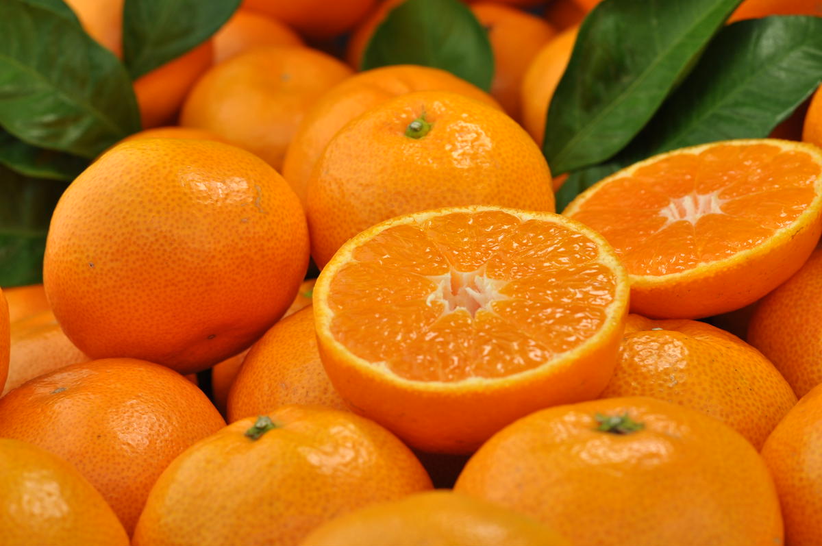 V7453_田村みかん／4kg秀品 【サイズ指定なし】