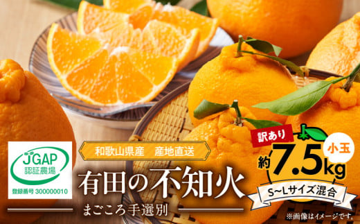ZE6108n_【2026年先行予約】有田の不知火(しらぬひ) 【訳あり　家庭用】7.5kg 小玉（ S～Lサイズ混合）まごころ手選別