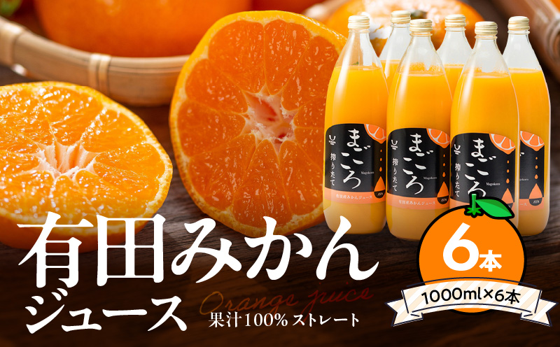 ya̎RLcS󒬁zZE6179n_u܂vLc݂ 100 W[X 1000ml 6{ Zbg