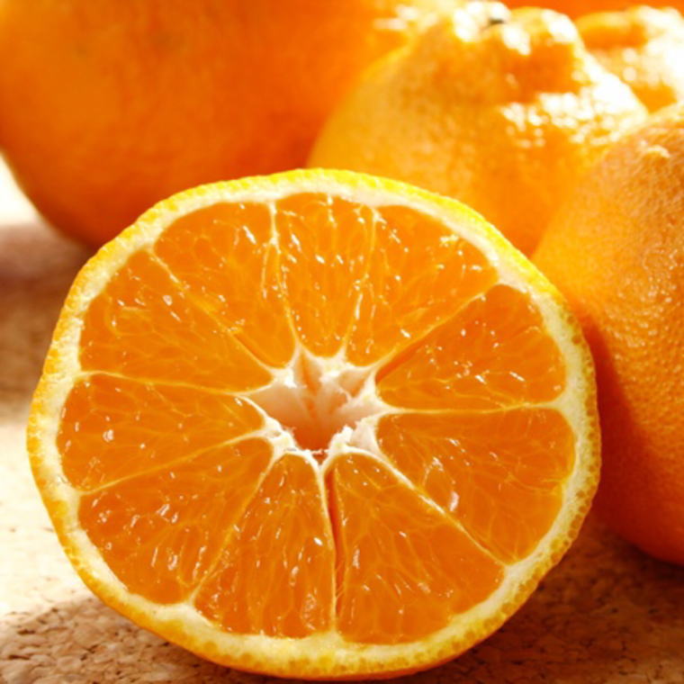 ZD6058n_【2026年先行予約】【濃厚】有田の 不知火 (デコポン) 約5kg（18玉～28玉おまかせ）