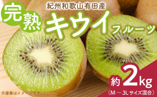 ya̎RLcS󒬁zZD6233n_y2026Ns\zLcłƂꂽ n LECt[c 2kg (M`3LTCY)