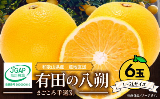 ZE6306n_【2026年先行予約】有田の八朔 (はっさく) 1.5kg　6玉（L～2Lサイズ）まごころ手選別