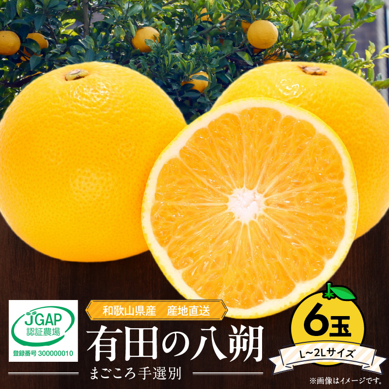 ZE6306n_【先行予約】和歌山県産 有田の 八朔 (はっさく) 6玉 L