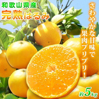 専用有田みかん農家直送味わい美人 有田みかん農家直送味わい美人大玉秀品箱込み10キロ｜Yahoo