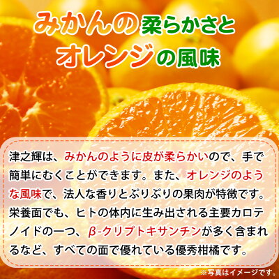 G7057_【先行予約】和歌山産 津之輝 (つのかがやき) 5kg