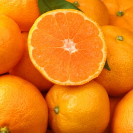 ZD6321n_【2026年先行予約】【食べごたえ十分・秀品】 和歌山 有田みかん 大玉 9kg (3Lサイズ)