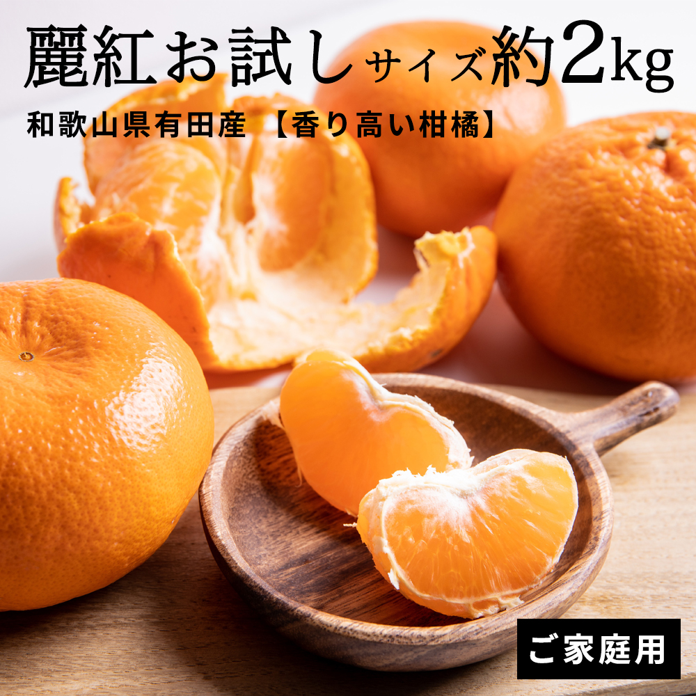 有田みかん AB7347_Y_11_【直営限定】【2026年先行予約】11月発送 農園直送!完熟