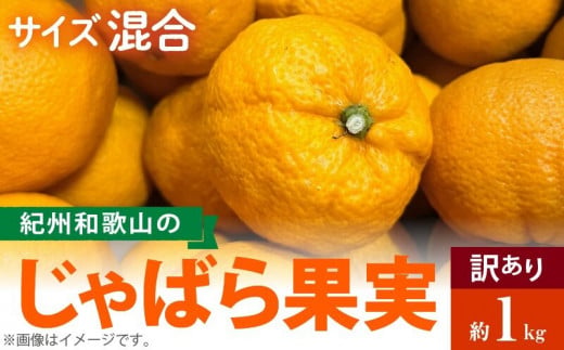 【和歌山県有田郡湯浅町】AB7033n_(国産)紀州和歌山の じゃばら 果実(訳あり ジャバラ 家庭用)1kg 国産 紀州 和歌山 じゃばら 果実 訳あり 家庭用