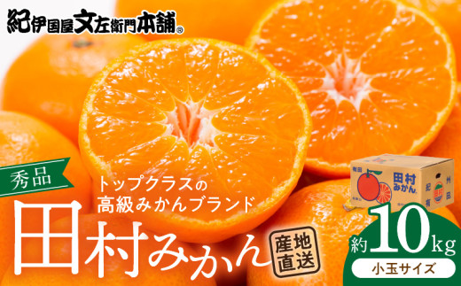 V7446_期間限定 田村みかん 10kg 小玉サイズ 秀品 紀州 有田 田村 国産 みかん 柑橘 果物 果実 フルーツ ノーワックス 最高級 プレミアム ブランド 濃厚 高糖度 紀伊国屋文左衛門本舗 和歌山県 湯浅町 送料無料