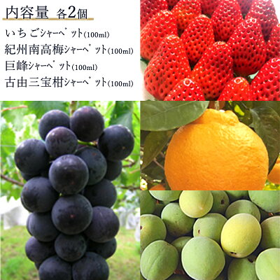 AV6002n_果物たっぷり ジェラート 8個 セット【デザート スイーツ ギフト セット シャーベット】