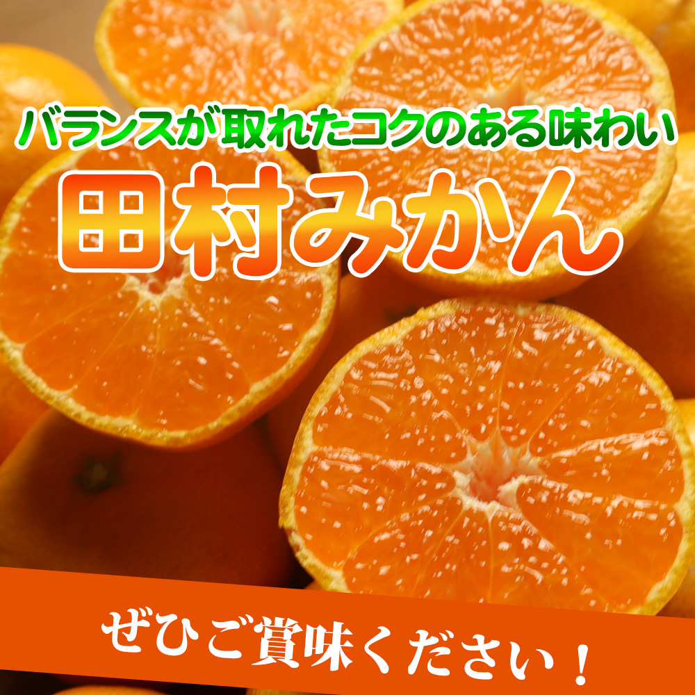 G7341_【2026年11月下旬より発送】高級ブランド 田村みかん 10kg