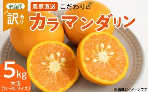 【和歌山県有田郡湯浅町】ZT6211n_【2026年先行予約】こだわりの カラマンダリン 【訳あり 家庭用】 5kg 藤秀園