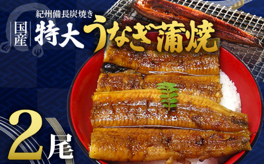 R6102_紀州備長炭焼き 特大 うなぎ 蒲焼き(国産)【鰻 ウナギ 丑の日 土用 蒲焼き 関西風 冷凍】