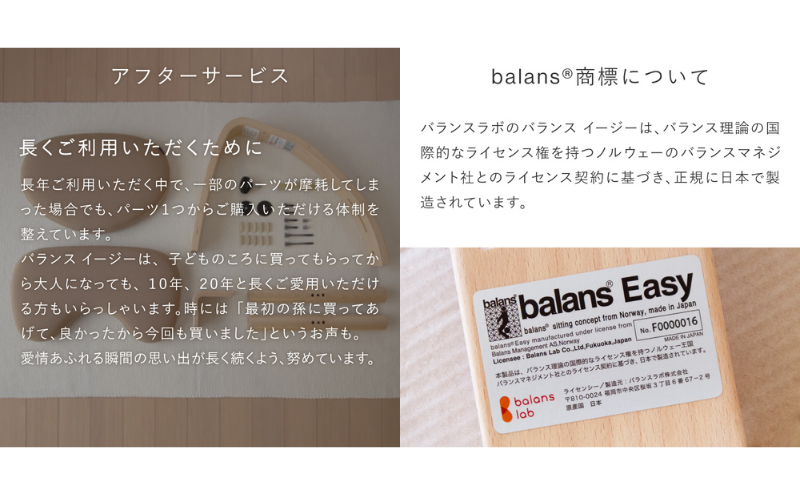 サカモト　バランスチェアイージー　バランスイージー　姿勢矯正　カバー付き バランス イージー(カバー付き) インテリア 家具 姿勢矯正 姿勢