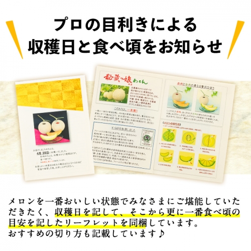 鹿児島県志布志市のふるさと納税 【春限定・数量限定】牧さんの訳ありメロン 赤玉(赤肉)1玉 a1-057-s