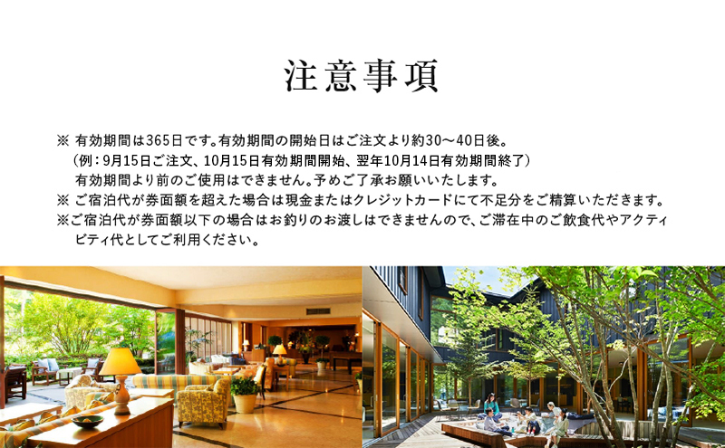 長野県軽井沢町のふるさと納税 宿泊券 ホテル 軽井沢 星野リゾート 30,000円分 ギフト券 チケット 券 観光 旅行 宿泊