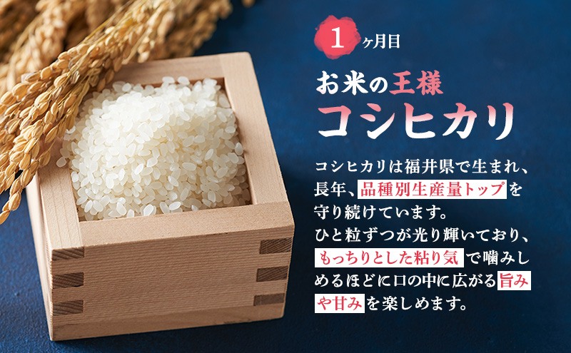 米 定期便 3ヶ月 農賊王のお宝分け 10kg 高島屋選定品
