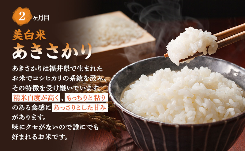 米 定期便 3ヶ月 農賊王のお宝分け 10kg 高島屋選定品 コシヒカリ こしひかり あきさかり イクヒカリ お米 おこめ こめ コメ 白米 精米 ご飯 ごはん 福井県 福井 3回 お楽しみ 