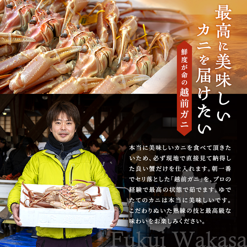 期間限定 茹で 越前ガニ 約900g以上 1杯  食通もうなる本場の味をぜひご堪能ください 茹でガニ 越前蟹 ズワイガニ カニ 蟹 海鮮 福井県 若狭町