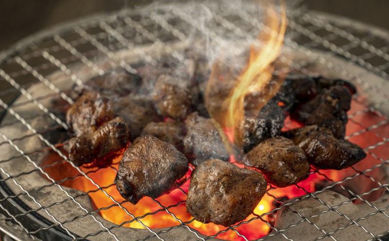 鶏肉 小分け はかた地どり 炭火焼 セット 500g（100g×5p）地鶏 鶏 肉 とり肉 鳥肉 チキン ブランド 炭火焼き 炭火焼き鳥 こだわり おつまみ つまみ レトルト 冷凍 パック 福岡 博多 配送不可 離島 